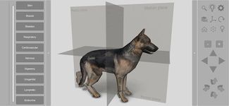 Screenshot 23 di 3D Dog Anatomy apk