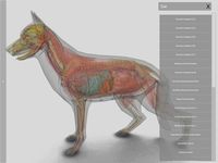 Screenshot 1 di 3D Dog Anatomy apk