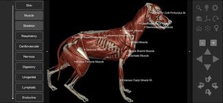 3D Dog Anatomy captura de pantalla apk 22