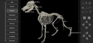 Screenshot 21 di 3D Dog Anatomy apk