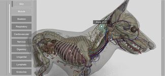 Screenshot 20 di 3D Dog Anatomy apk