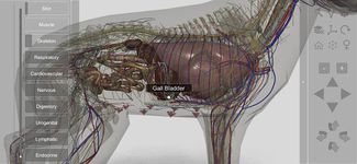 3D Dog Anatomy captura de pantalla apk 18