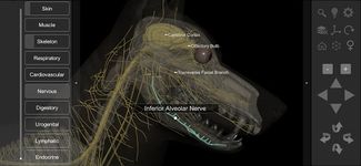 3D Dog Anatomy captura de pantalla apk 16