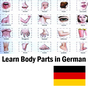 Almanca organ isimleri öğren APK Simgesi