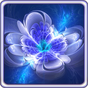APK-иконка Светя Цветы Живые Обои
