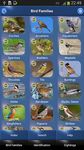 Bird Id - British Birds screenshot apk 14