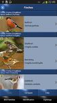 Bird Id - British Birds screenshot apk 10