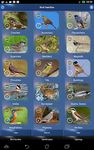 Bird Id - British Birds screenshot apk 8