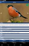 Bird Id - British Birds screenshot apk 9