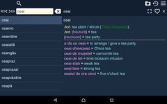 English Romanian Dictionary Fr Screenshot APK 3