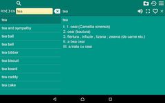 English Romanian Dictionary Fr capture d'écran apk 1