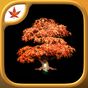 Fire Maple Games Collection Simgesi