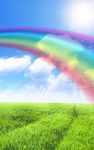 Immagine 4 di Arcobaleno Sfondo Animato