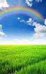 Immagine 3 di Arcobaleno Sfondo Animato