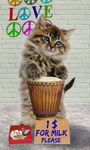 Imagem 10 do Gatos engraçados. Dançando