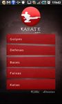 Imagem 3 do Karate Mobile