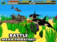 Captura de tela do apk Wildlife Simulator: Shark 2
