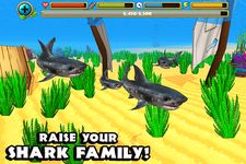 Captura de tela do apk Wildlife Simulator: Shark 8