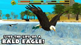Eagle Simulator capture d'écran apk 7