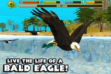 Eagle Simulator capture d'écran apk 14