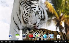 Tiger Live Wallpaper capture d'écran apk 2