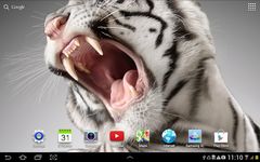 Tiger Live Wallpaper capture d'écran apk 3