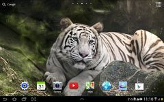 Tiger Live Wallpaper capture d'écran apk 1