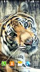 Tiger Live Wallpaper capture d'écran apk 6