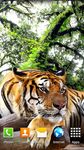 Tiger Live Wallpaper capture d'écran apk 8