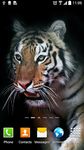 Tiger Live Wallpaper capture d'écran apk 10