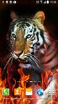 Tiger Live Wallpaper capture d'écran apk 11