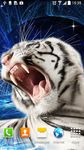 Tiger Live Wallpaper capture d'écran apk 12