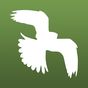 Ikona Bird Guide: Nordic Birds