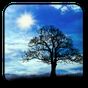 Blue Sky Free Live Wallpaper Simgesi