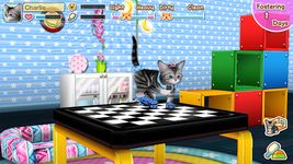 Скриншот 15 APK-версии My Cat My Room