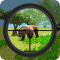 Jungle Survival Challenge 3D APK Icon