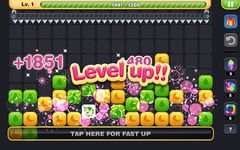 Картинка 14 Block Crush Mania