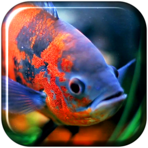 Tải miễn phí APK Aquarium 3D. Video Wallpaper Android