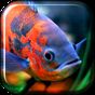 Aquarium 3D. Video Wallpaper apk icon