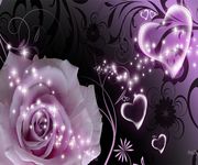 Purple Rose Live Wallpaper image 11