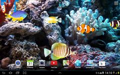 Aquarium Live Wallpaper screenshot apk 3