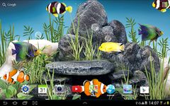 Aquarium Live Wallpaper Screenshot APK 7