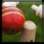 Chauka Cricket Scoring App APK