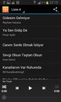 Turkse Muziek Top 50 afbeelding 10