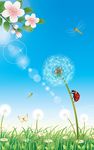 Dandelion Live Wallpaper image 3