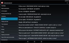Скриншот  APK-версии Турецкий разговорник