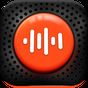 Voice Recorder - Dictaphone apk icon