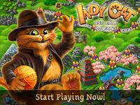 Indy Cat Match 3의 스크린샷 apk 9