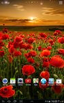 Captura de tela do apk Flower Live Wallpaper 7