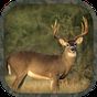 Ikona apk Whitetail Hunting Calls